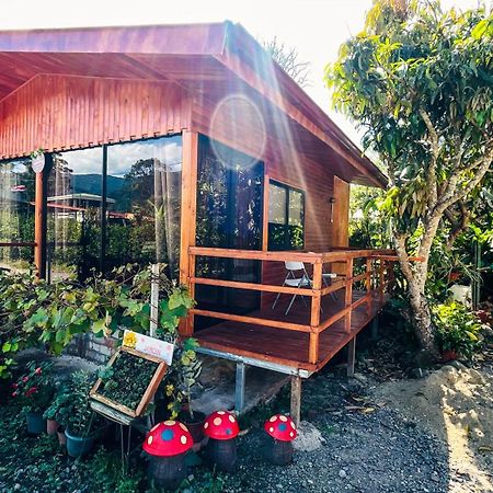 Cozy Woodcabin Santa María Εξωτερικό φωτογραφία